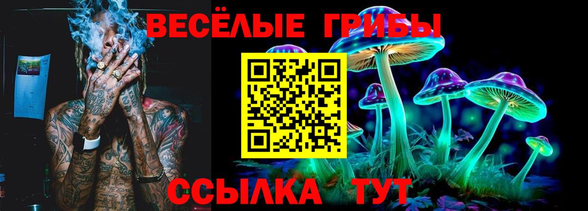 Ступино  дарнет шоп  Вход с VPN  Псилоцибиновые грибы ЛСД  Псилоцибиновые грибы Psilocybe 
